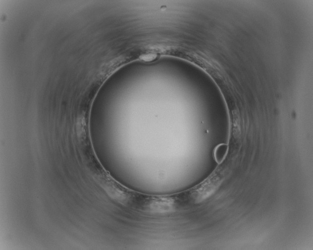 X0000074320369200609011543