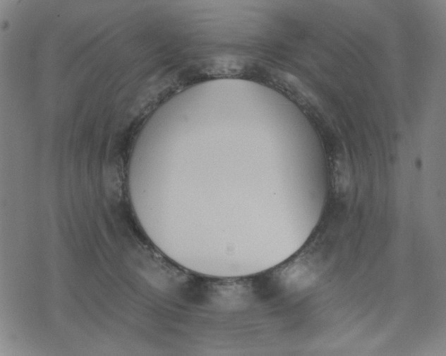 X0000074320370200609011543