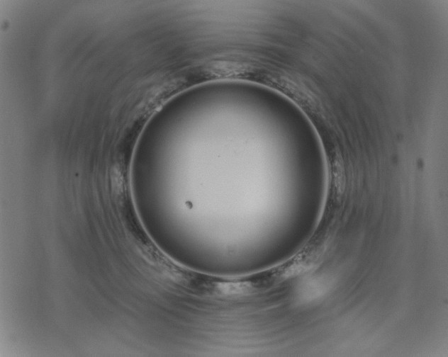 X0000074320371200609011543