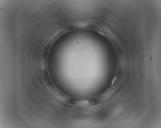 X0000074320374200609011543