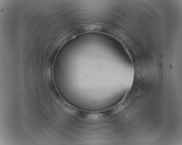 X0000074320375200609011543