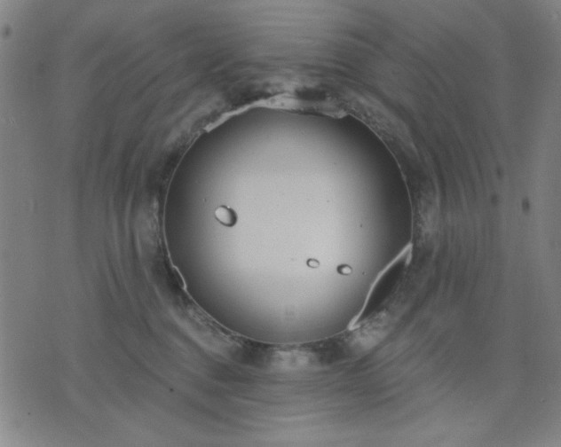 X0000074320376200609011544