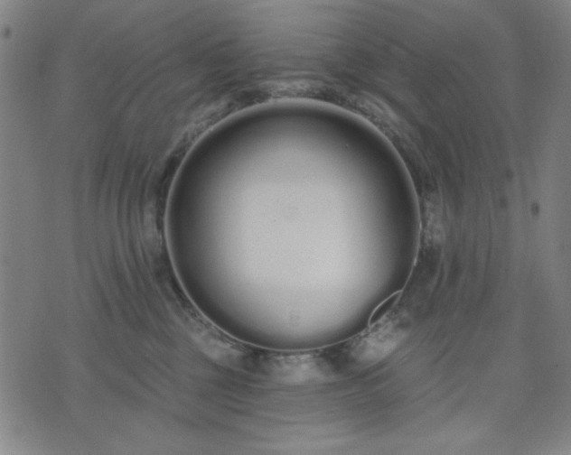 X0000074320377200609011544