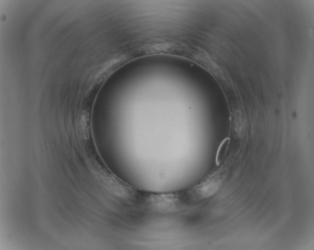 X0000074320378200609011544