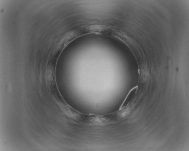 X0000074320379200609011544