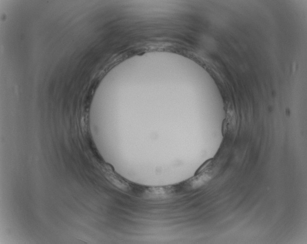 X0000074320381200609011544