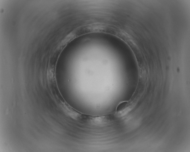 X0000074320382200609011544