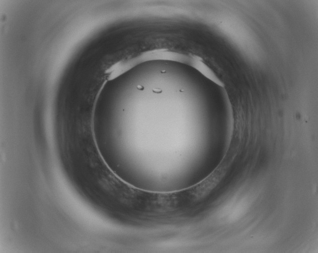 X0000074320383200609011544