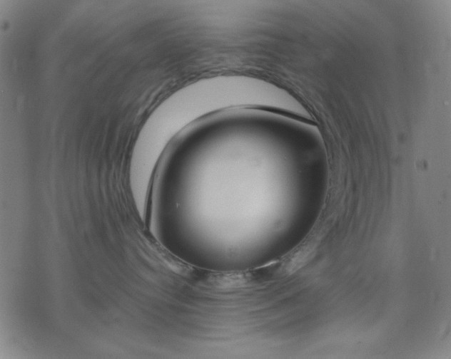 X0000074320384200609011544