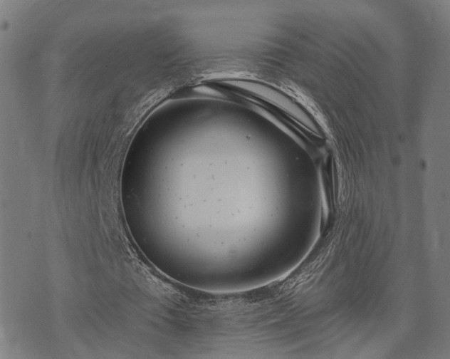 X0000074320385200609011543