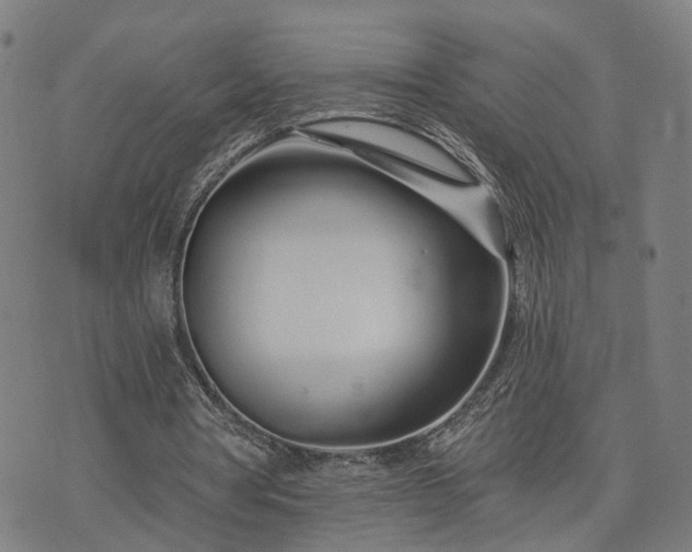 X0000074320386200609011543