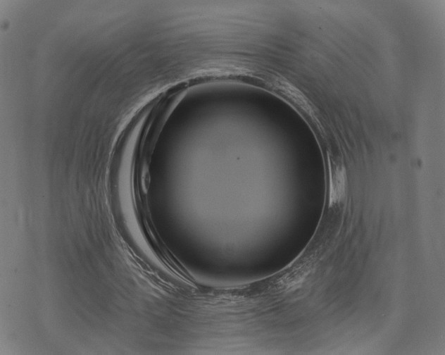 X0000074320387200609011543