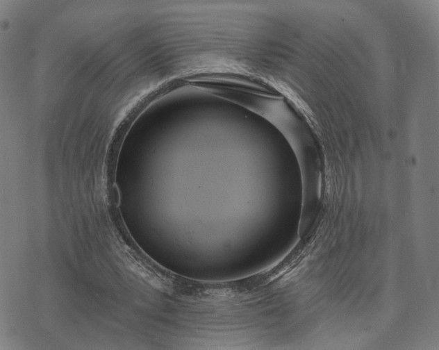 X0000074320391200609011543