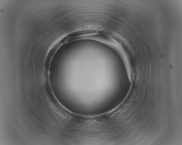 X0000074320392200609011543