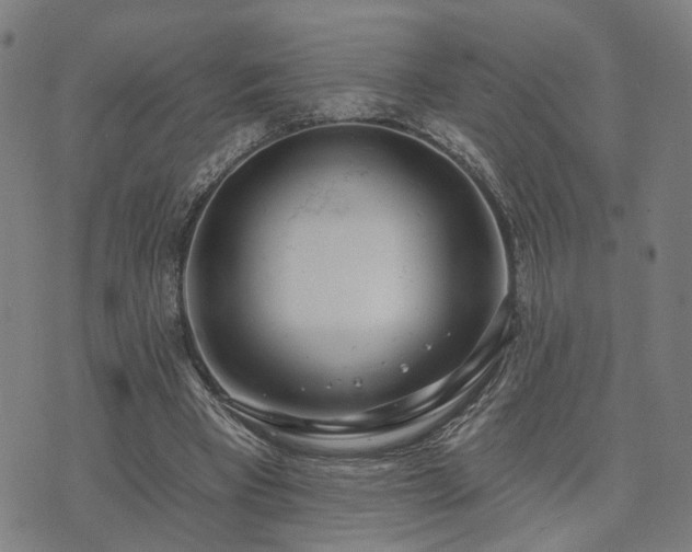 X0000074320393200609011543