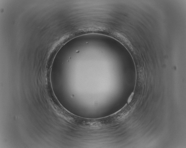 X0000074320395200609011543