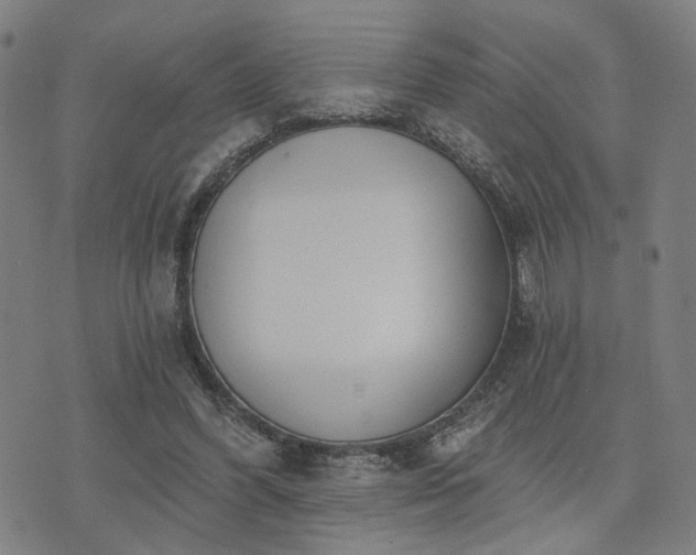 X0000074320396200609011543