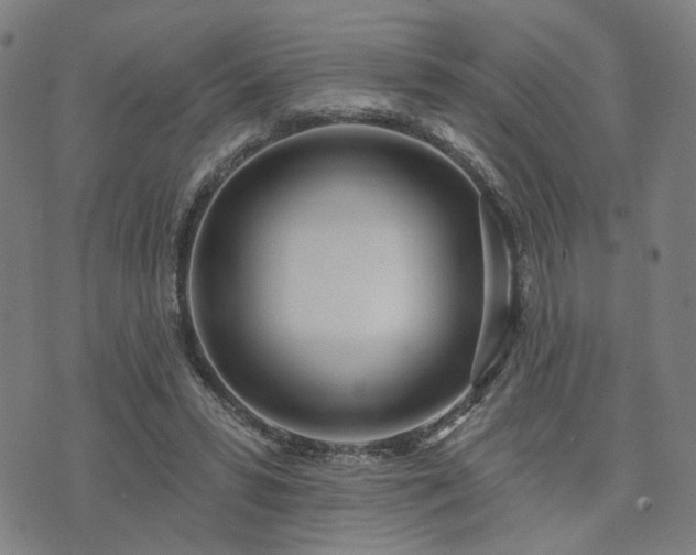 X0000074320399200609011543