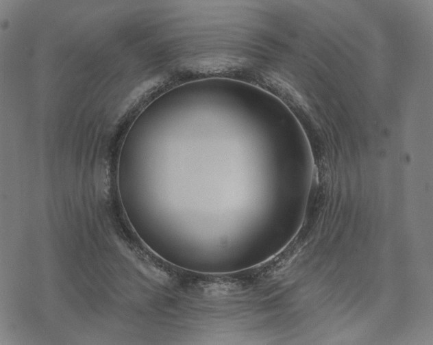 X0000074320400200609011543