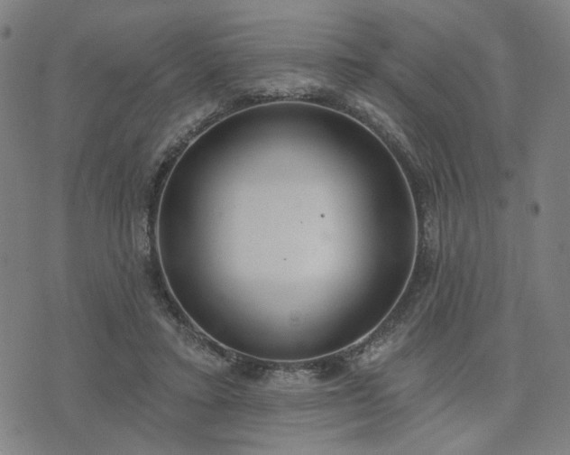 X0000074320403200609011543