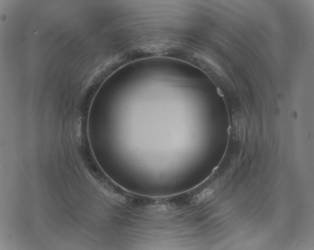 X0000074320404200609011543