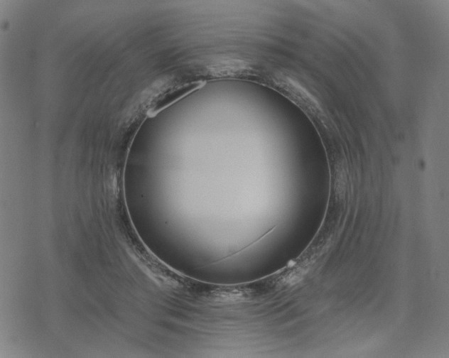 X0000074320405200609011543