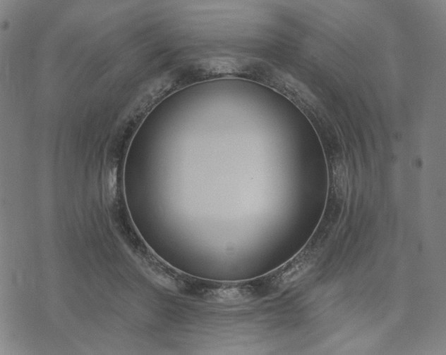 X0000074320406200609011543