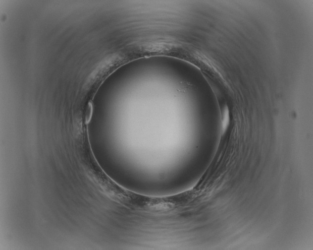 X0000074320407200609011543