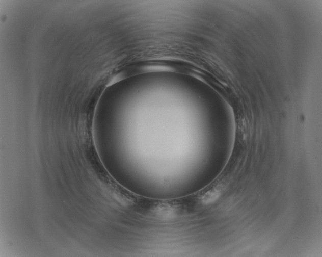 X0000074320416200609011542