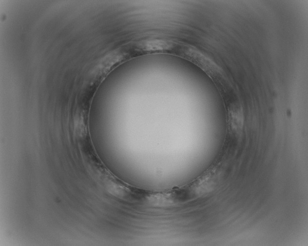 X0000074320422200609011542
