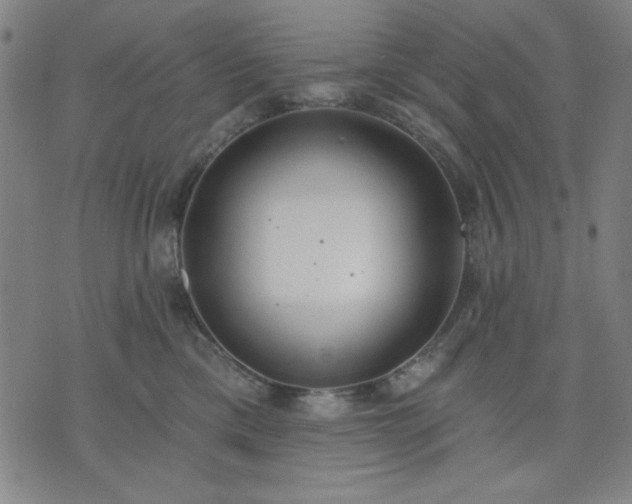 X0000074320425200609011542