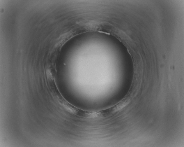 X0000074320432200609011542
