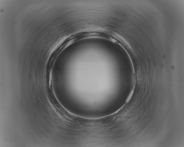 X0000074320436200609011541