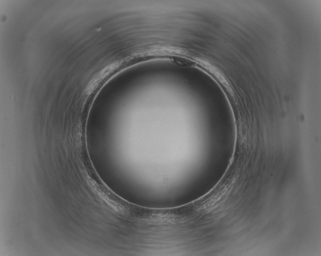 X0000074320437200609011541