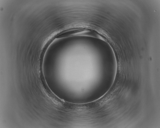 X0000074320438200609011541