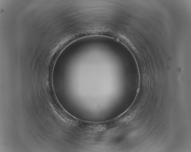 X0000074320443200609011541