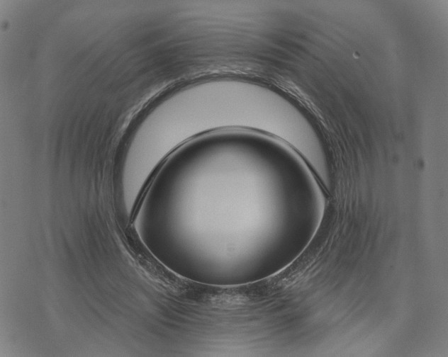 X0000074320444200609011541