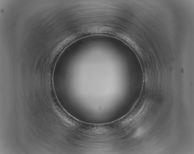 X0000074320445200609011542