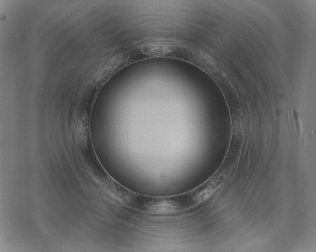 X0000074320460200609011542