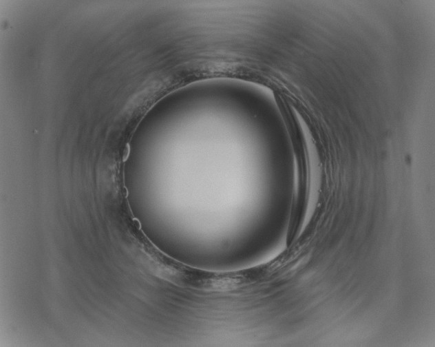 X0000074320462200609011542