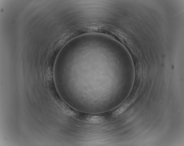 X0000074320467200609011542