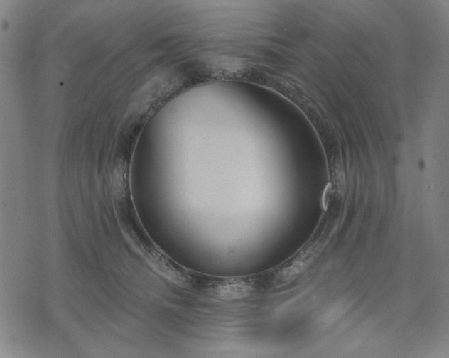 X0000074320468200609011542