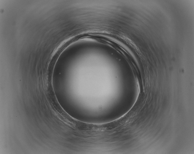 X0000074320484200609011541