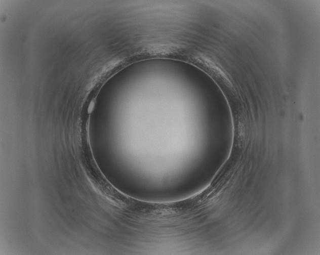 X0000074320492200609011541