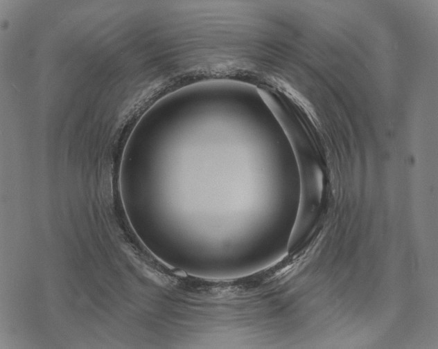 X0000074320493200609011541