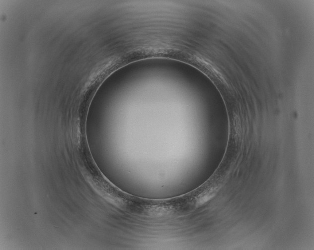 X0000074320494200609011541