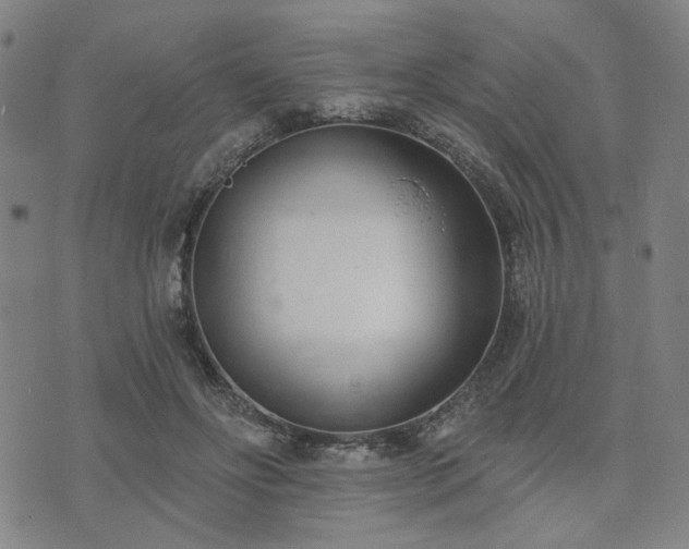X0000074320502200609011541