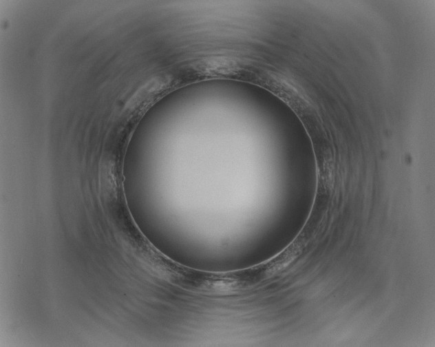 X0000074320506200609011541