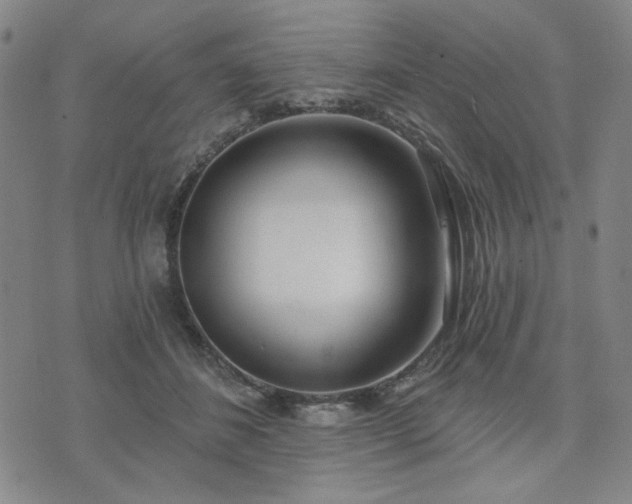 X0000074320508200609011541
