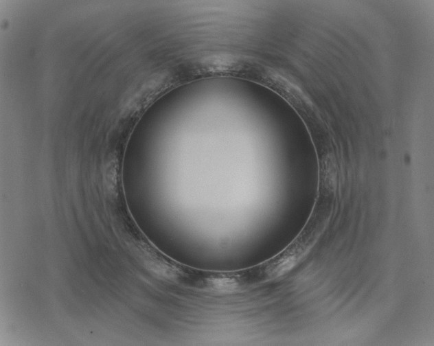 X0000074320509200609011541
